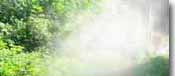 Аэрозоль (анолит превращенный в туман)